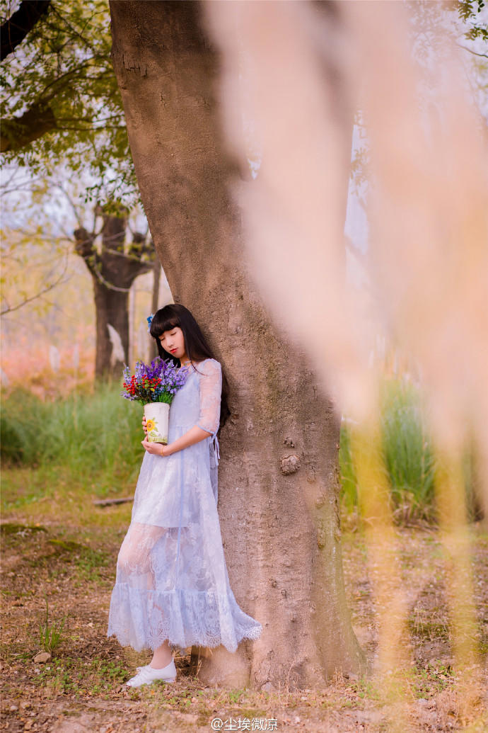 描写清明节的作文